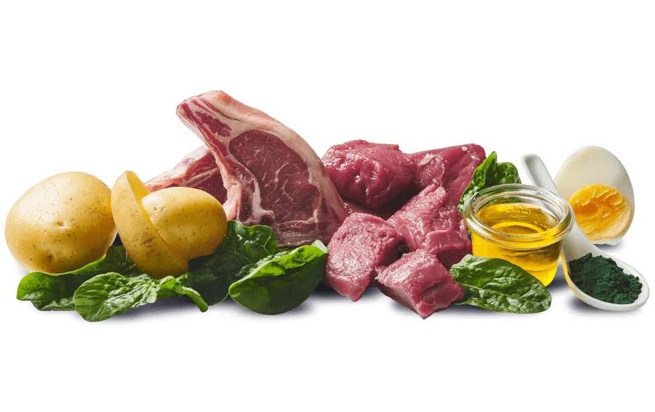 Nassfutter Schale Wild, Lamm Adult 150 gAlleinfuttermittel für ausgewachsene Hunde