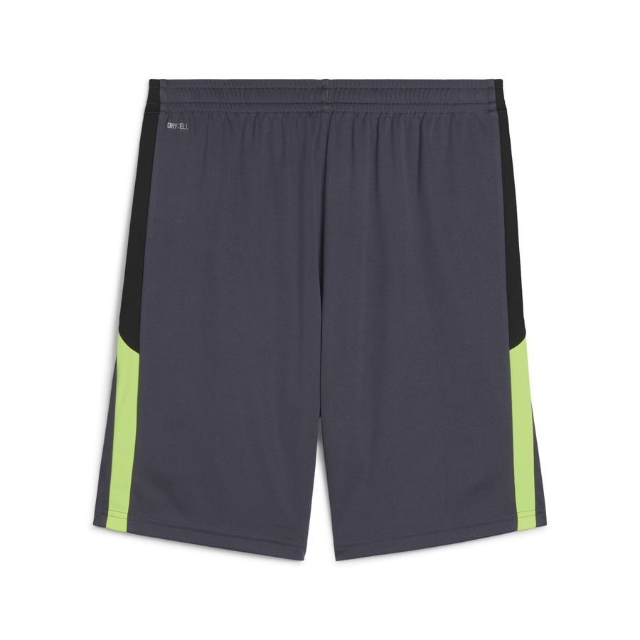 Puma individualLIGA Trainingsshorts
