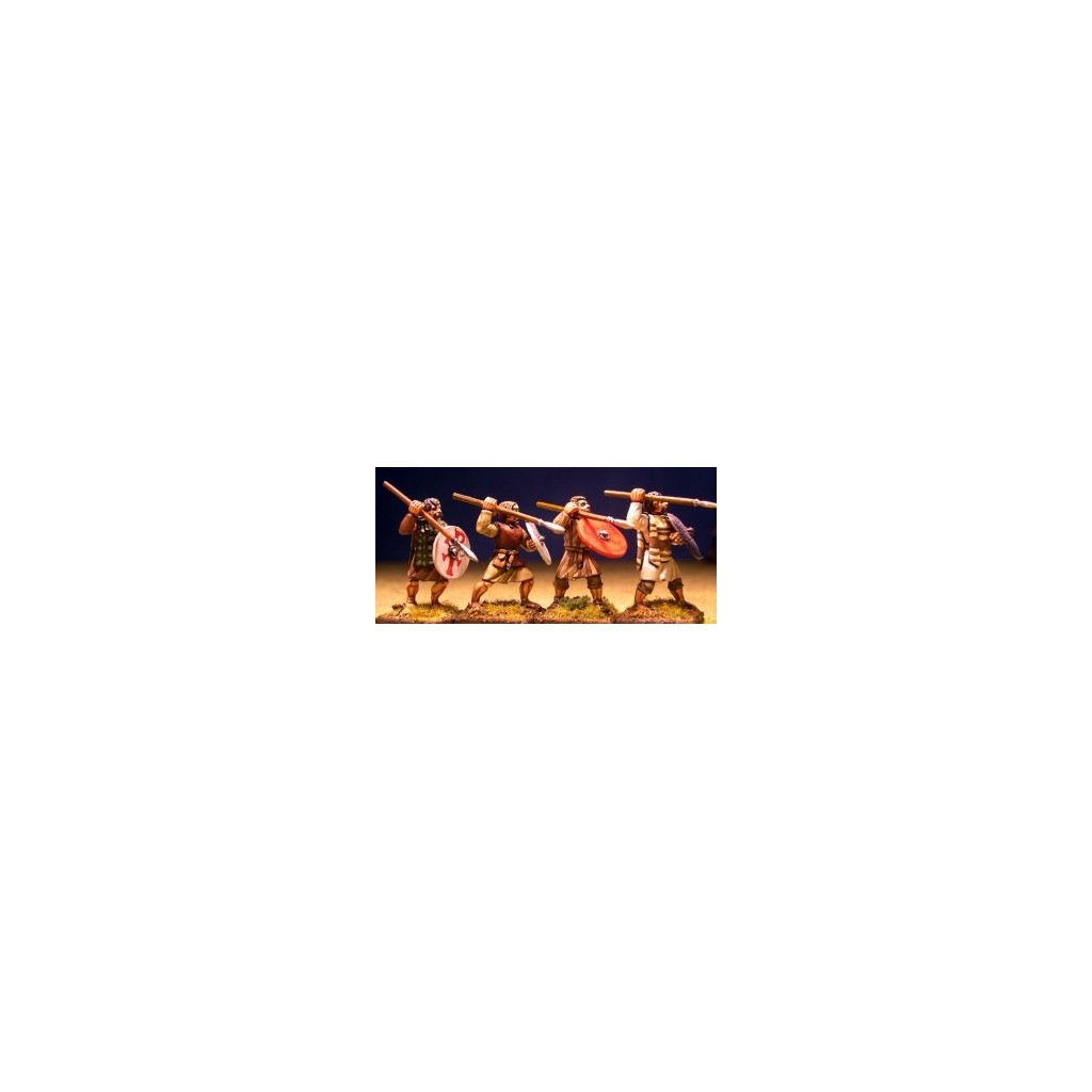 Saga Guerriers Gallois