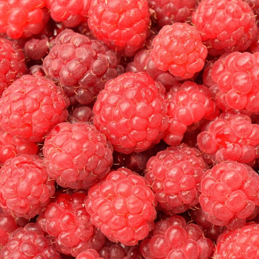 Framboisier idaeus paris®/rubus idaeus paris®[-]pot de 3l - 40/60 cm
