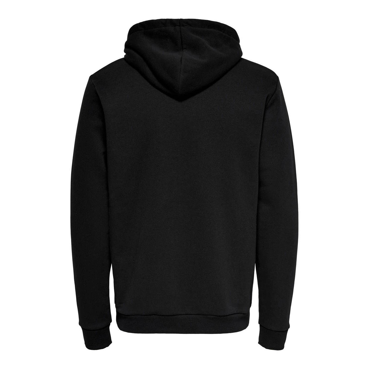 ONLY & Sons  Brennan Regular Hoodie
