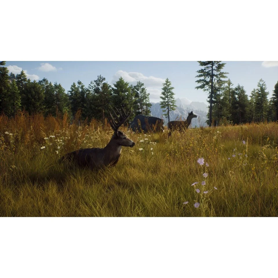 Way of the Hunter- Xbox Series X