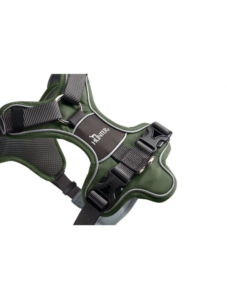 Hunter - Harness Divo L, green/grey - (67593)