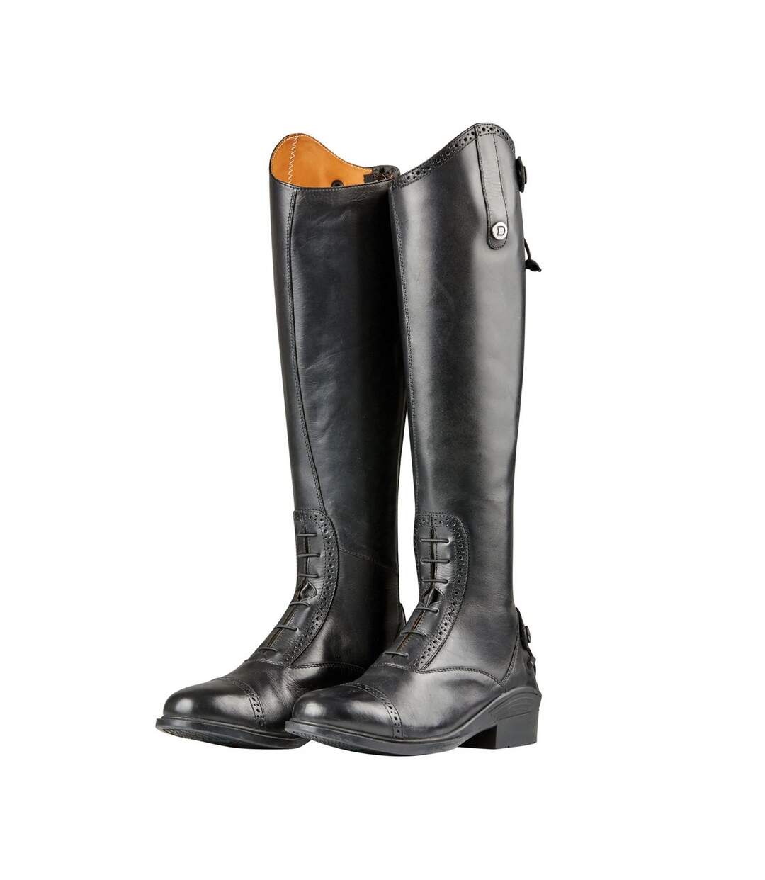 Dublin - Bottes d'équitation EVOLUTION - Femme (Noir) - UTWB1779