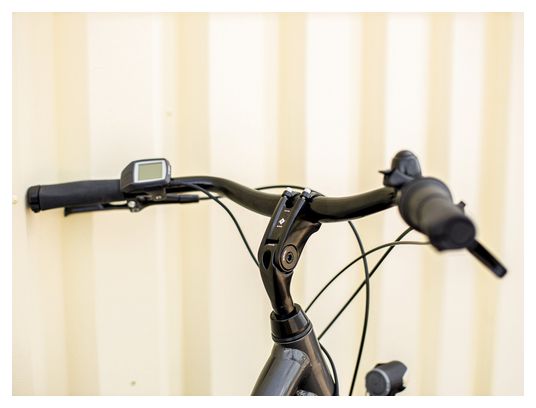 Vélo de Ville Électrique Trek District  1 Midstep Shimano Nexus 7V 500 Wh 700 mm Gris Lithium