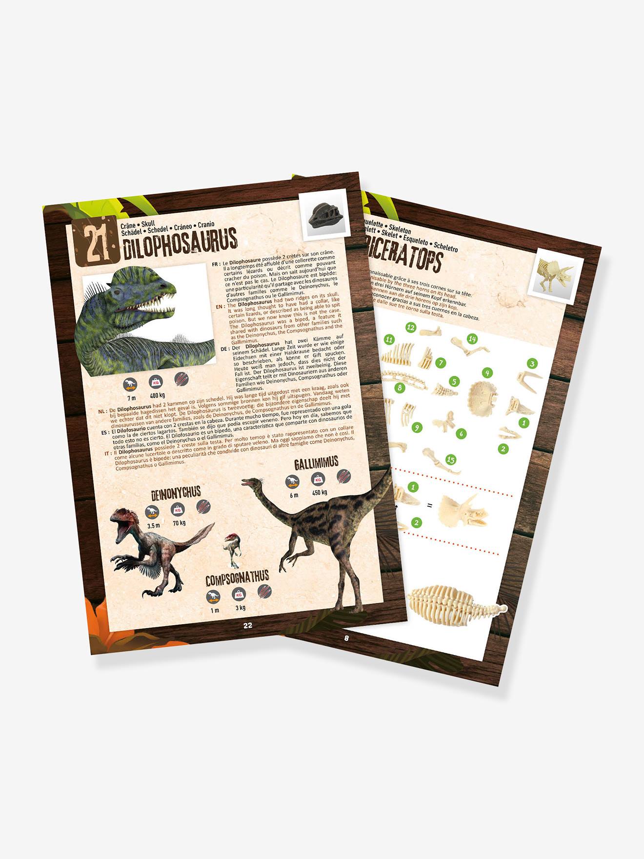 Caixa Surpresa de Dinossauro