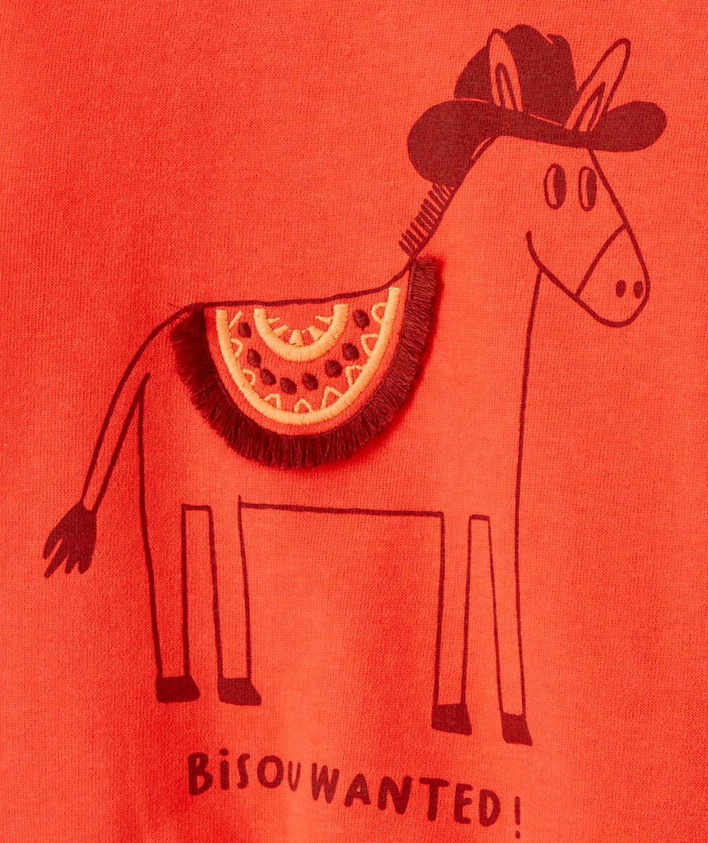 SWEAT MANCHES LONGUES BÉBÉ GARÇON 100% COTON AVEC MOTIF ÂNE