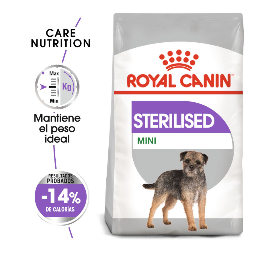 Ração esterilizada Royal Canin para cães de porte pequeno