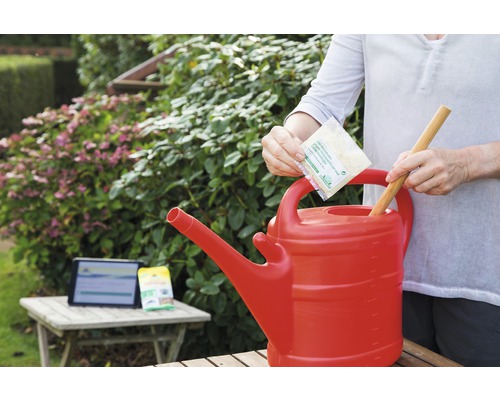 Bestelset Neudorff nuttige insecten tegen bodemplagen zoals snuitkever, tuinkever, meikever, molkrekels, langpootmuggen, rupsen, varenrouwmuggen, 1 bestelbon, voor een bodemoppervlak tot 20 m²