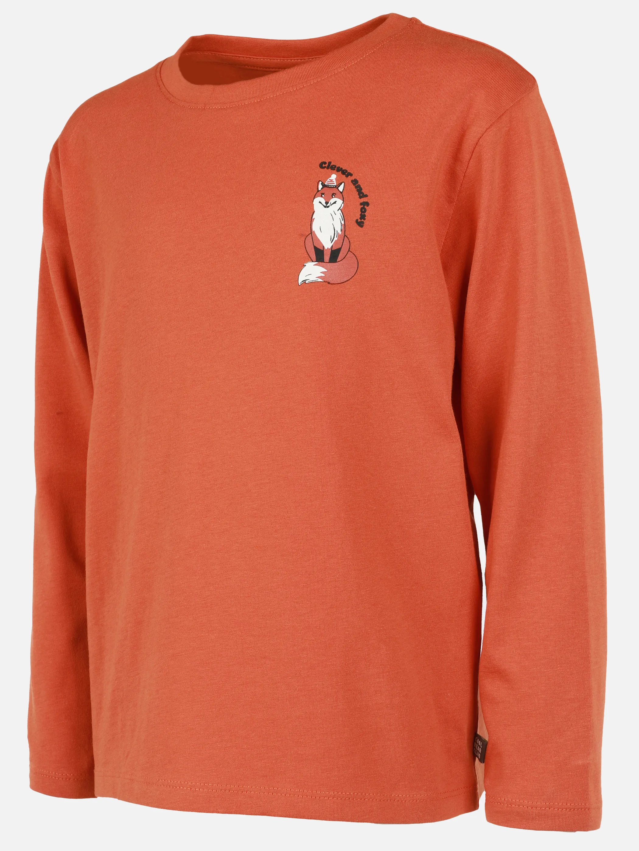 Jungen Longsleeves im 2er Pack mit Fuchsmotiven