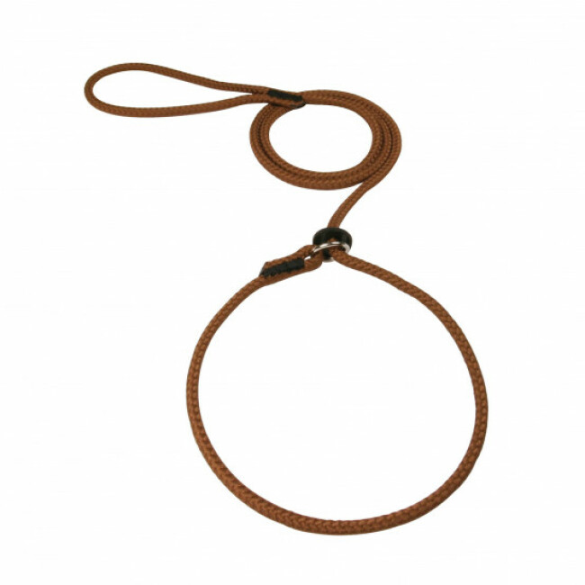Laisse lasso ronde en corde tressée