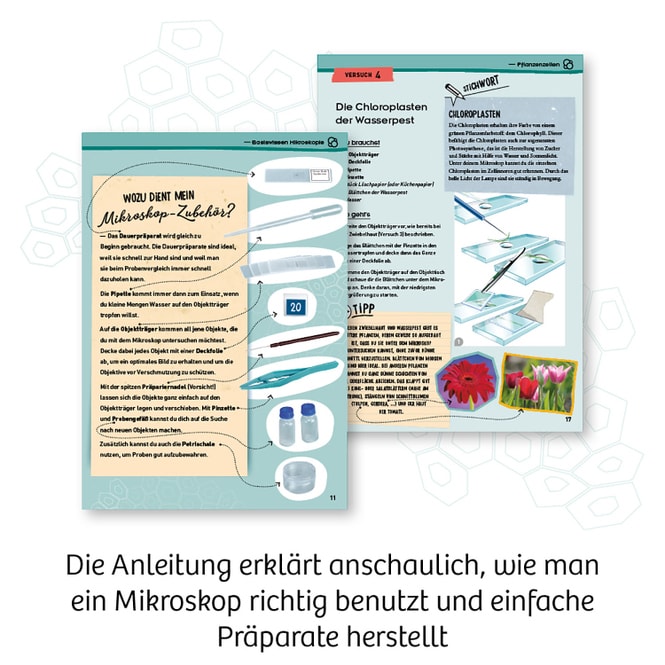 Entdecker-Mikroskop - Experimentierkasten
