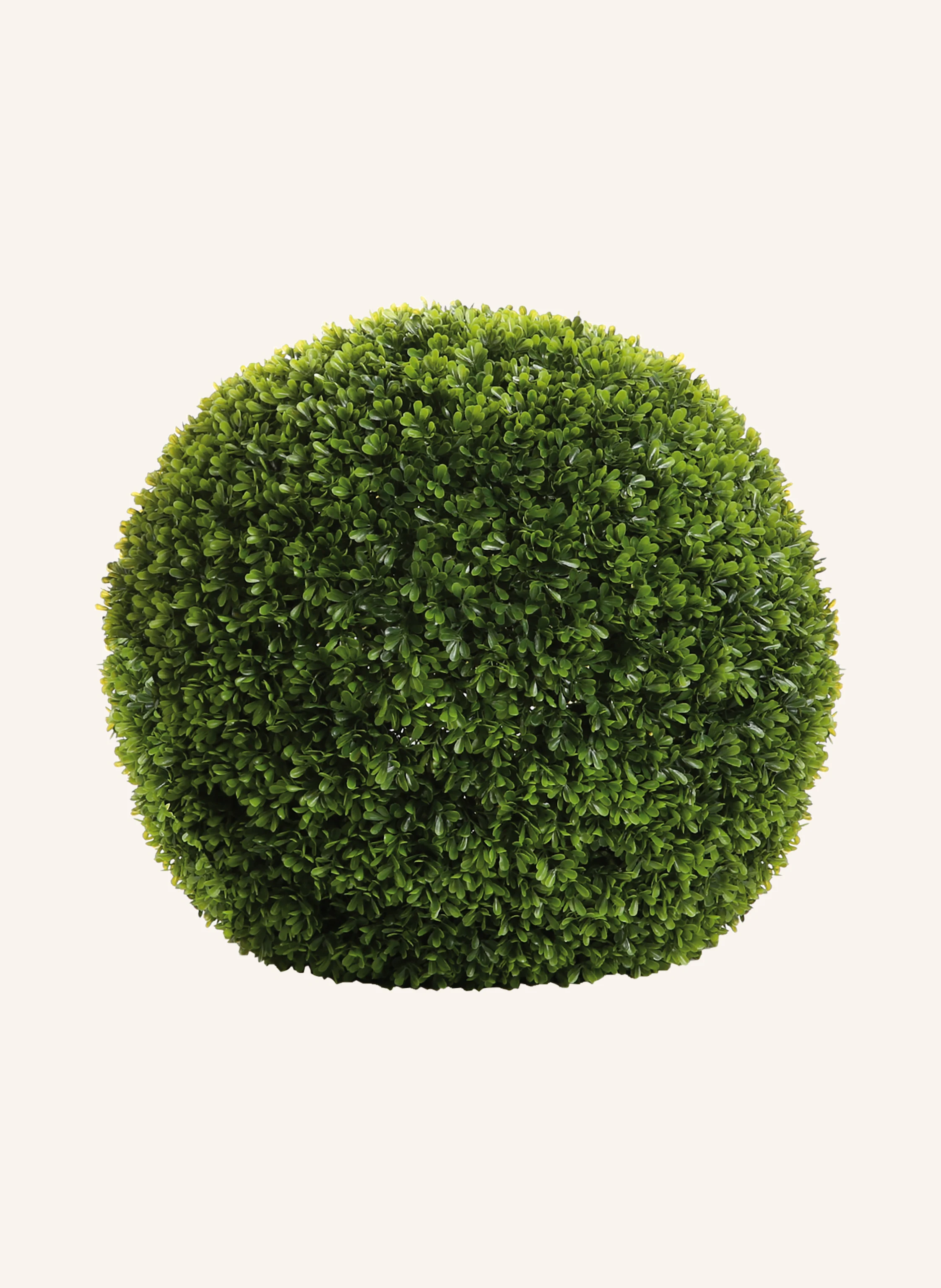 Fink Buchskugel BUXUS