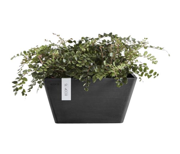 Ecopots Kunststoff-Topf Berlin, quadratisch