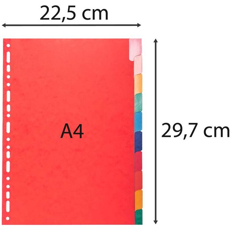 Intercalaires Carte lustrée 225 g avec onglets renforcés - 10 positions - A4