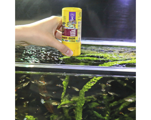 Korrelvoer JBL PRONOVO GUPPY GRANO maat S 100ml