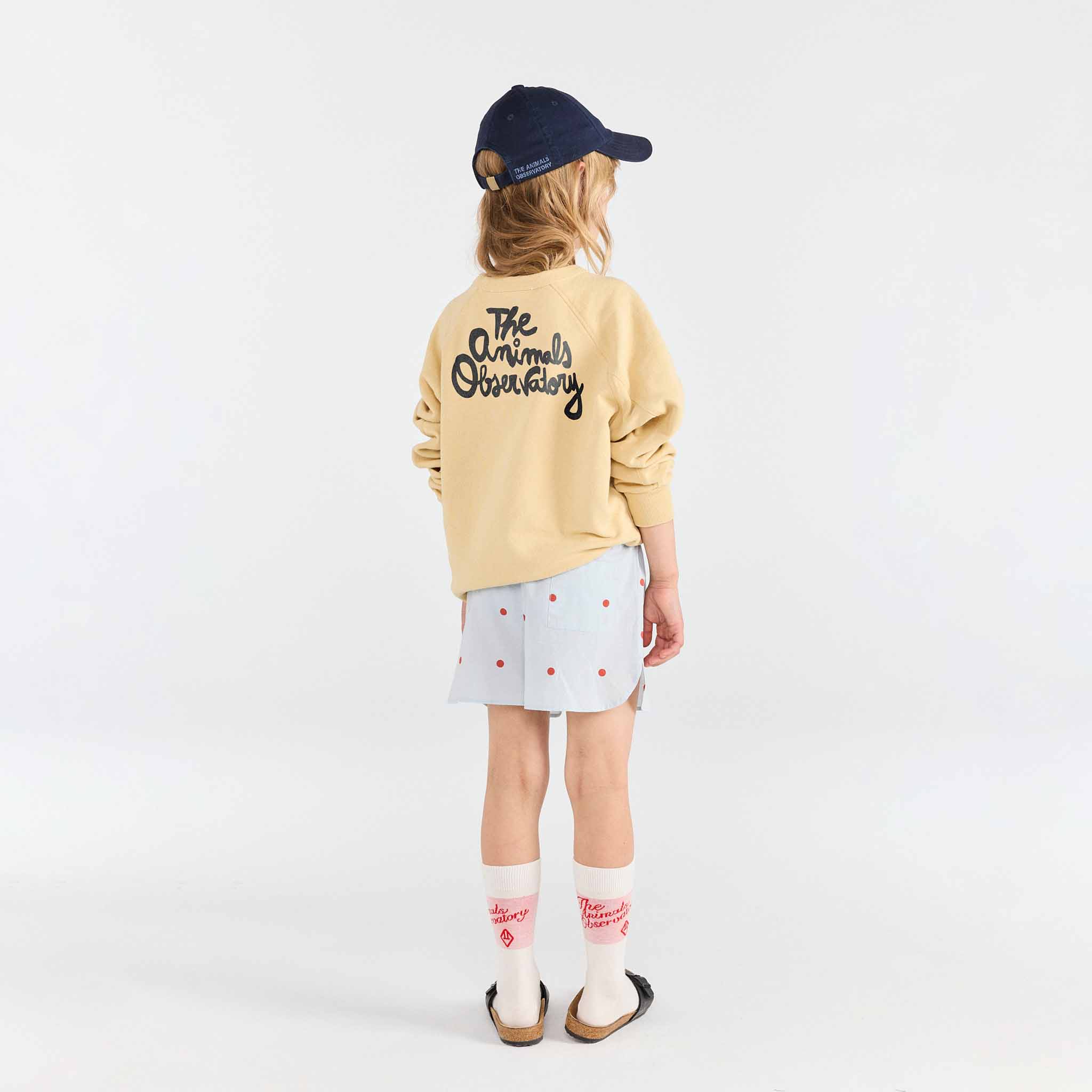 Sweatshirt Shark Soft Brown