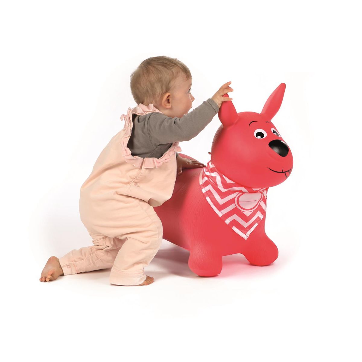 Ludi Chien sauteur Rouge
