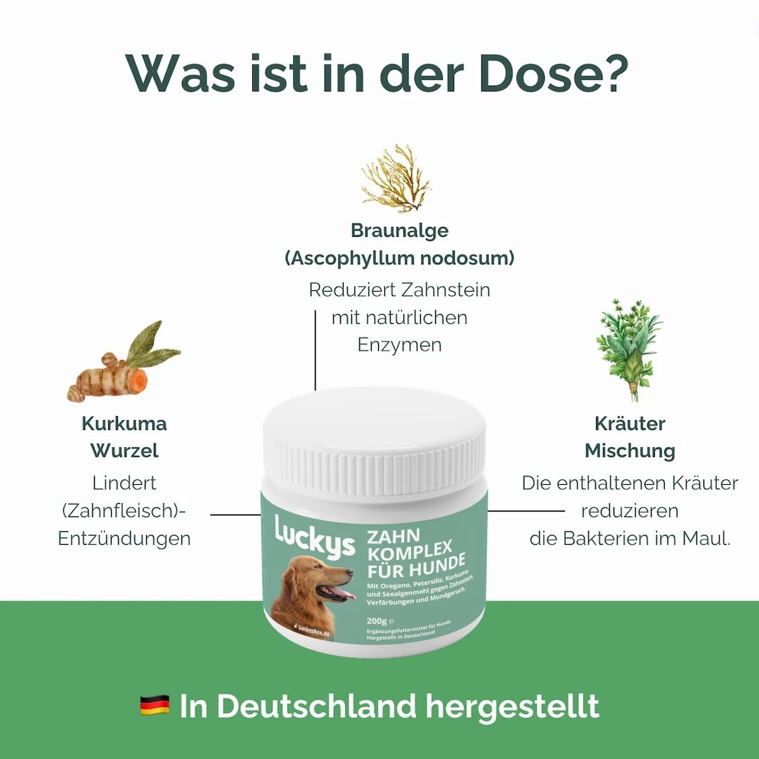 Luckys Box Zahnpflege-Komplex für Hunde