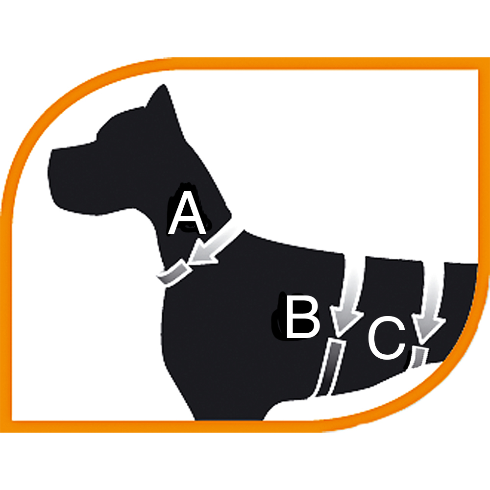 Ferplast harnais grand chien ergotrekking large, harnais chien anti-évasion, anti-panique, lévrier, réfléchissant, 6 fermetures,