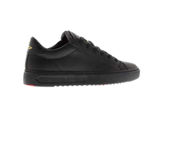 Loyalti Loyalti Patriot Reptile Trainers