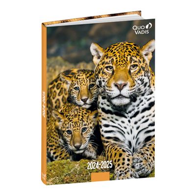 Agenda Mes Potes à pattes - 1 jour par page - 12 x 17 cm - différents modèles disponibles - Quo Vadis