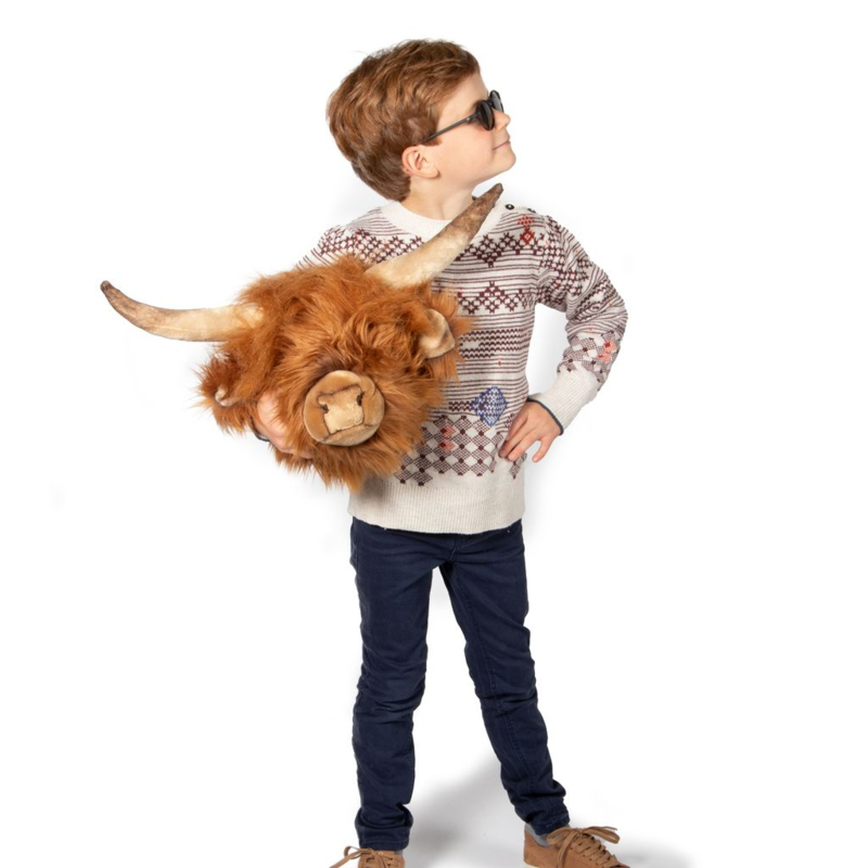 Dierenkop schotse hooglander