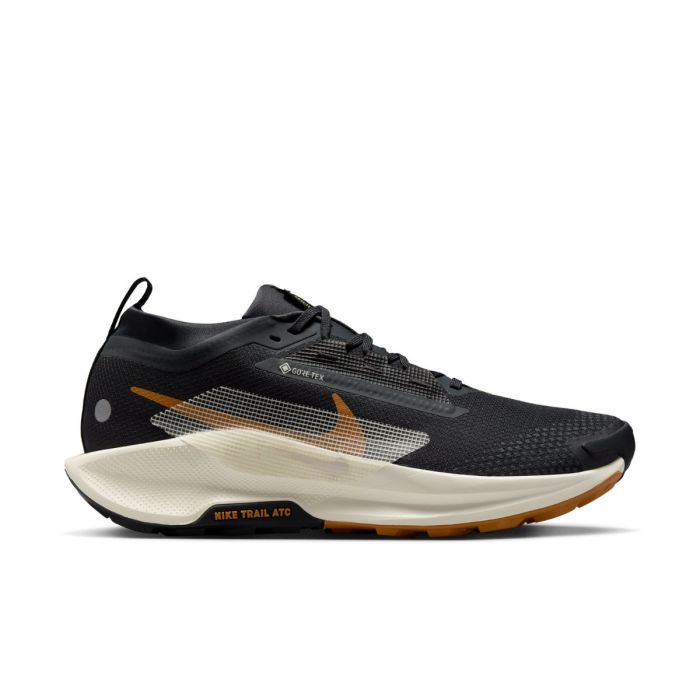 Nike Herre Trailsko Pegasus Trail 5 Gore-Tex Sort