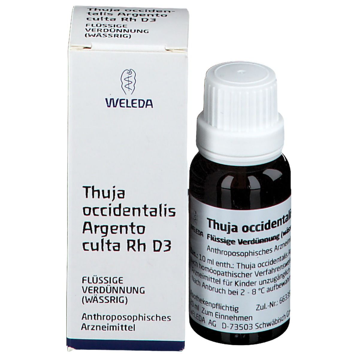 Thuja Occidentalis Argento culta Rh D 3 Dil.