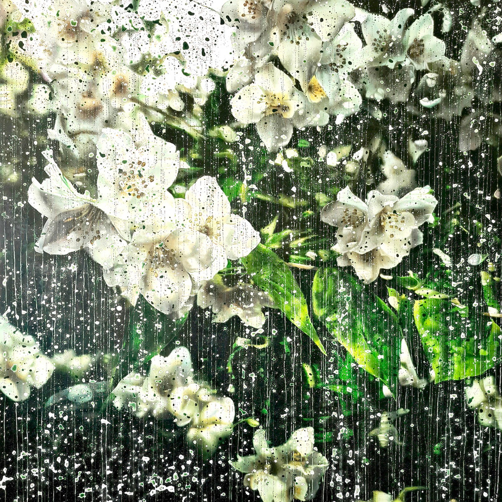 Jasmine Flowers 01 by An Doan Nguyen - Limited Edition. Edition of: 150. Signed.