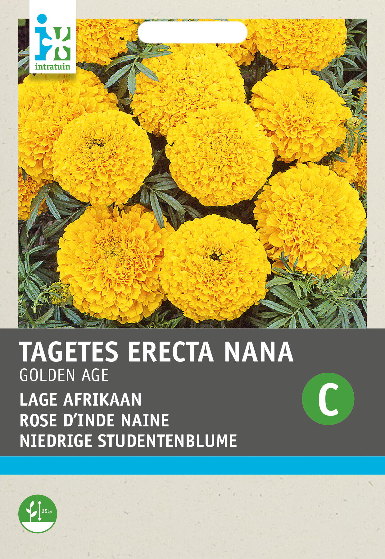 Intratuin bloemenzaad Afrikaantje goud-oranje (Tagetes Golden Age')