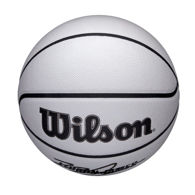 NBA Player Icon UV Basketball - Lebron