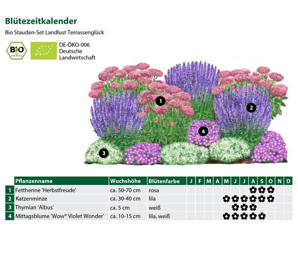 Bio Stauden-Set Terrassenglück, Landlust