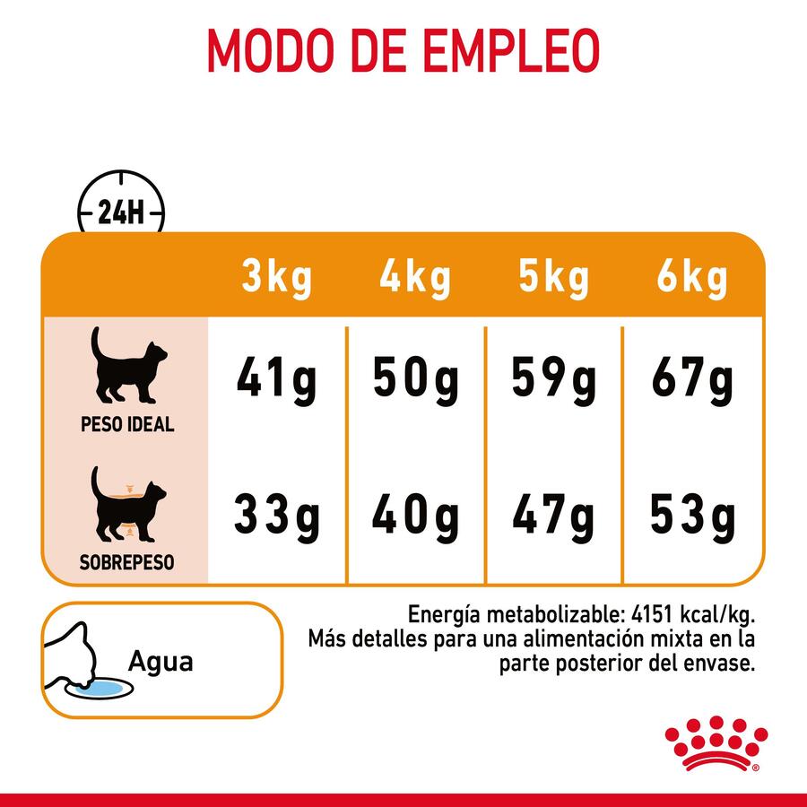 Ração Royal Canin Hair & Skin para gatos