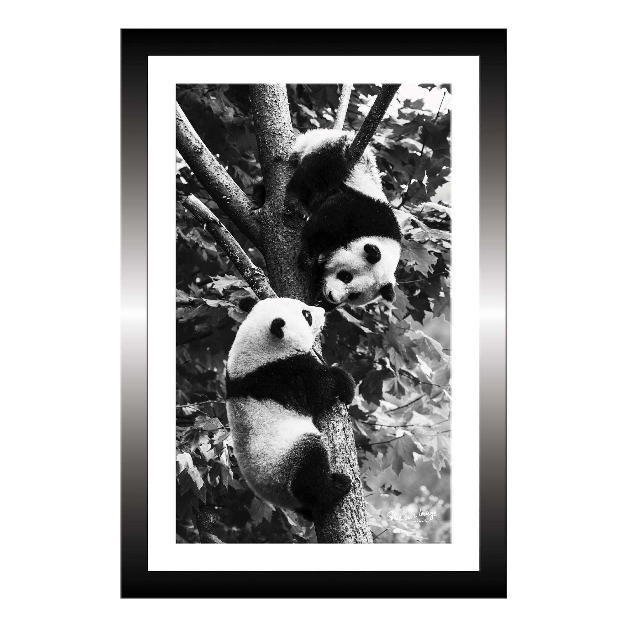 TABLEAU 20X30CM BAGUETTE NOIRE PANDA