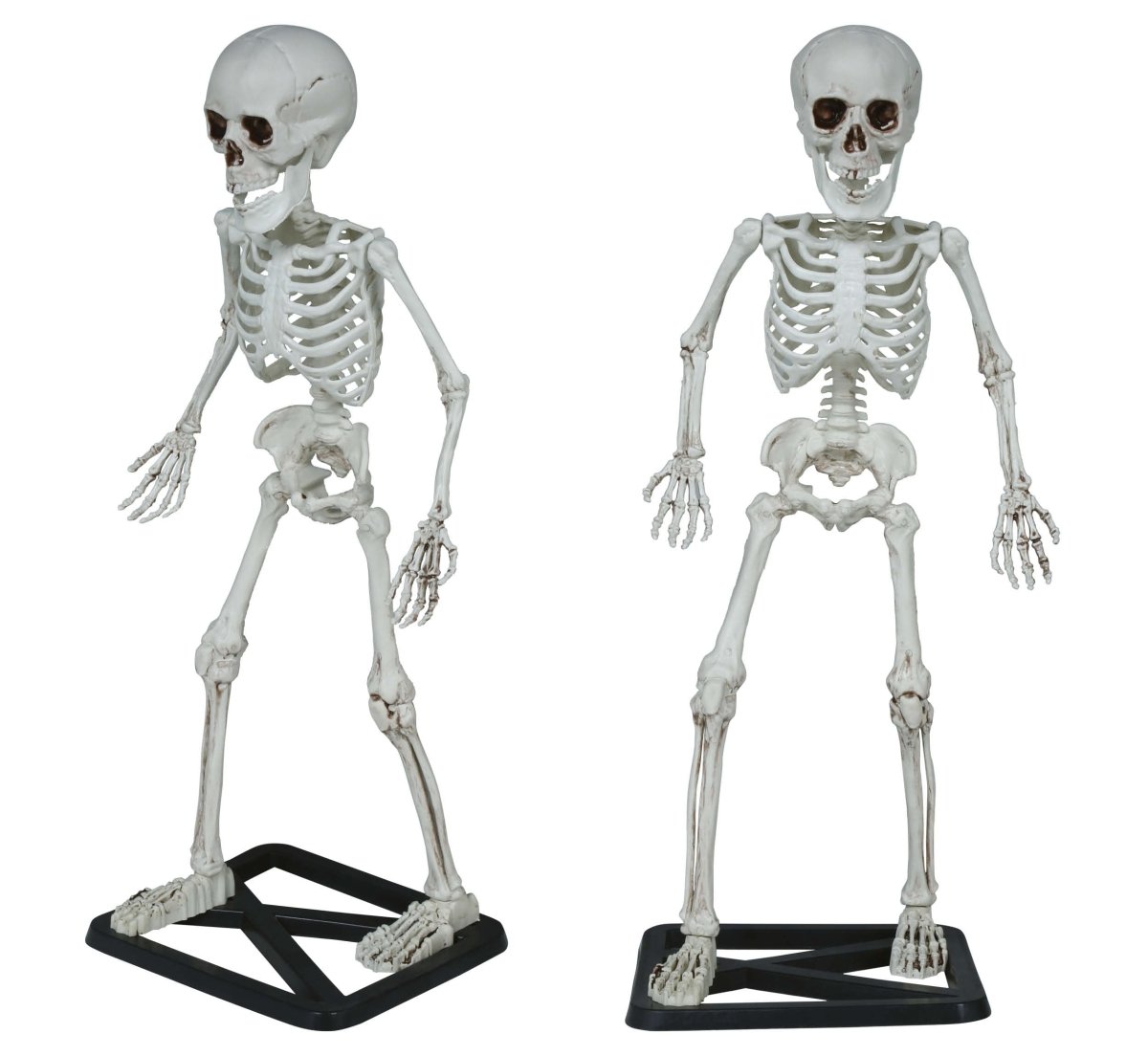 Halloween Skelet 55cm