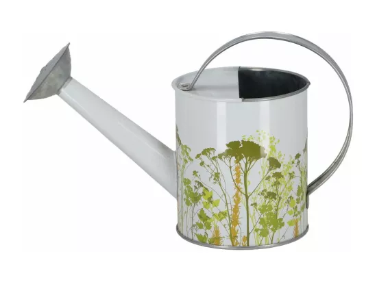 Arrosoir en métal Herbe Intérieur