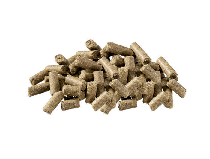 Pavo All Sports  - Sport/ Prestatie - Paardenvoer - 20 Kilogram - Zak