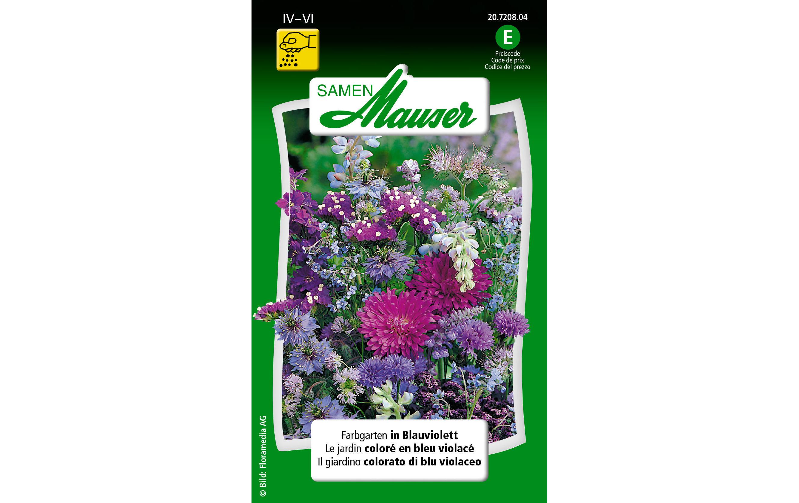 Saatgut Farbgarten in BlauviolettBlumensamen