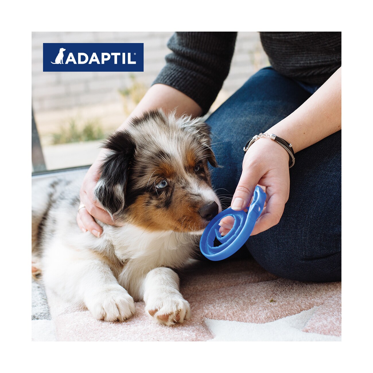 ADAPTIL Junior Halsband Anti Stress Erziehungshalsband