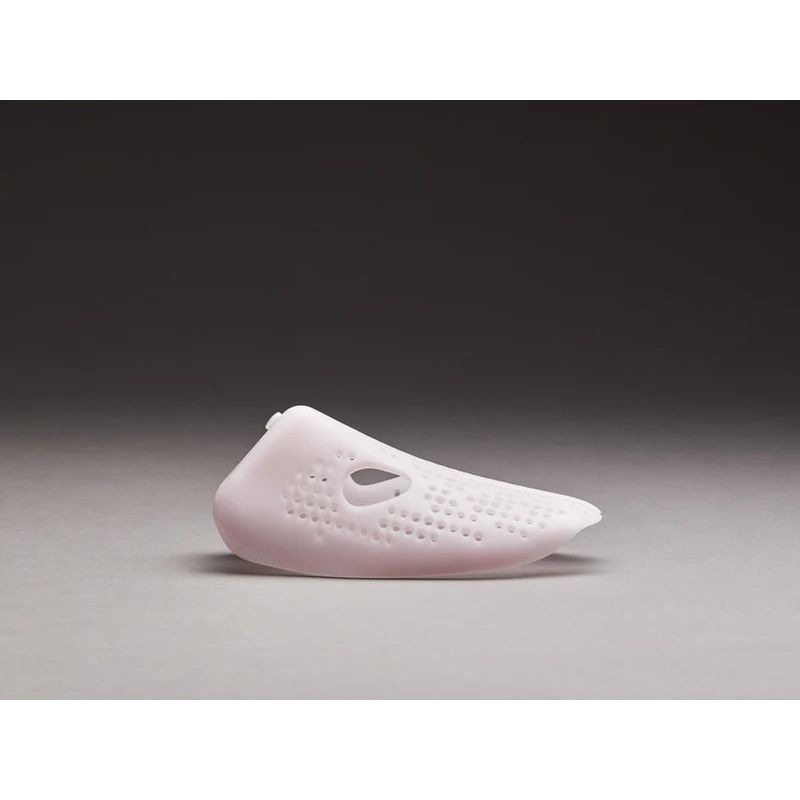 Shape Regime Shape Coral