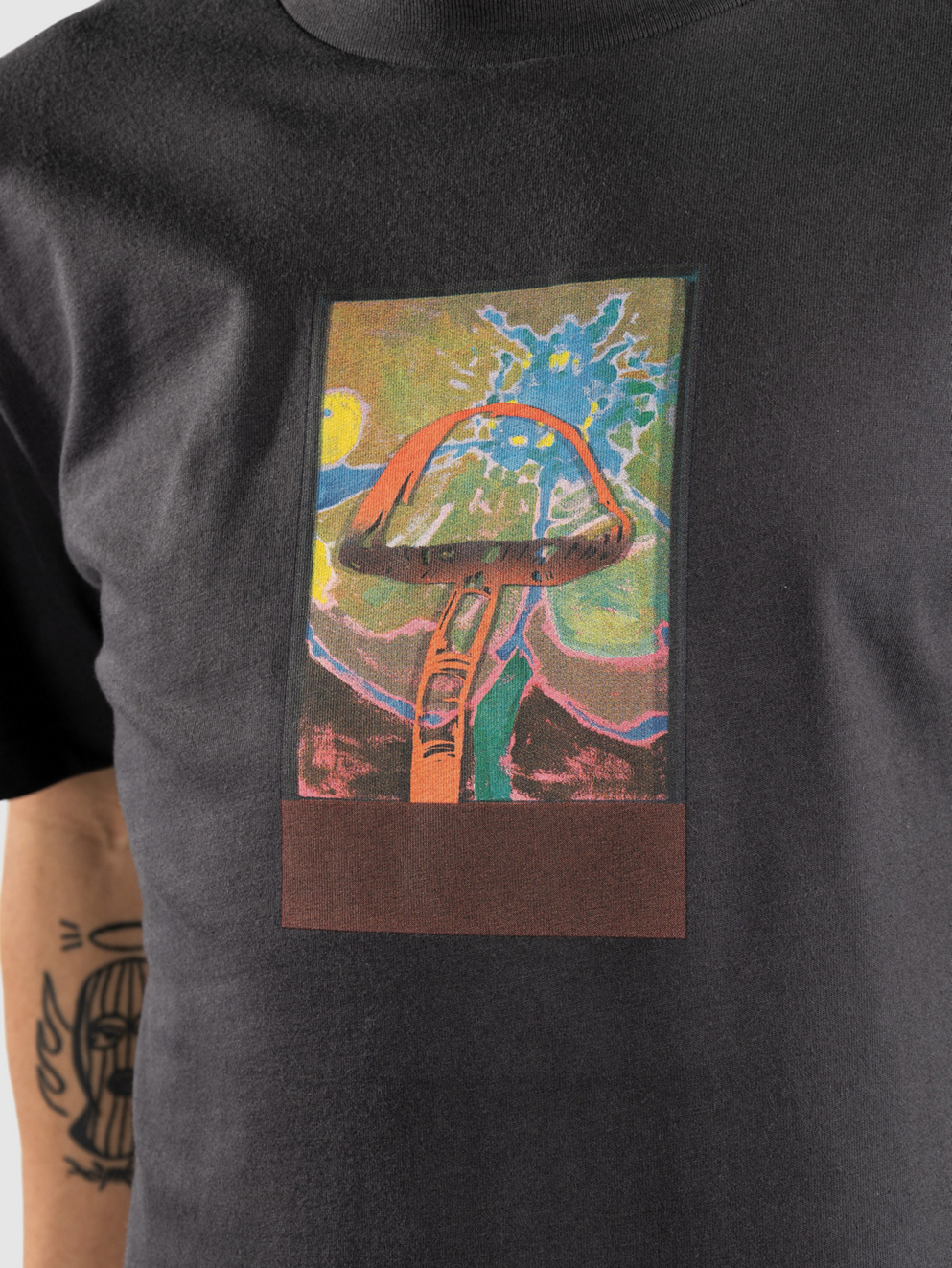 RVCA Sage Shroom T-Shirt washed black