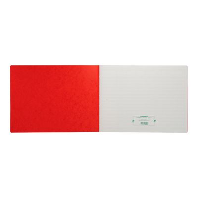 Exacompta - Piqûre comptable - 15 colonnes par page - 28 x 38 cm - 80 pages