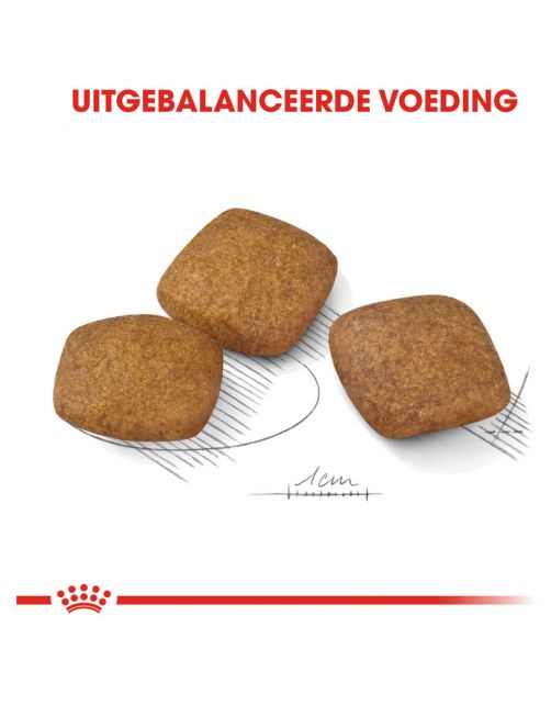 Royal Canin Relax Care Maxi - Hondenvoer