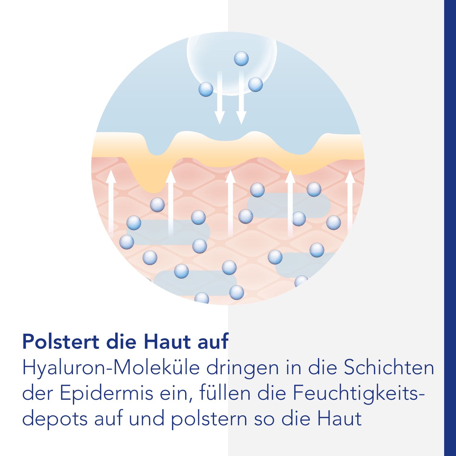 Viscontour® Serum Ultra 20 Ampullen mit Tiefen-Hyaluron