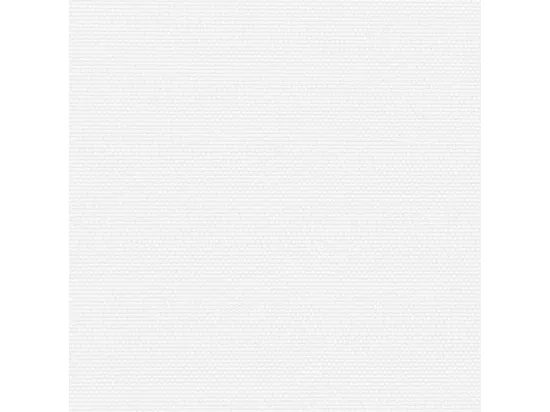 Auvent latéral rétractable blanc 120x600 cm