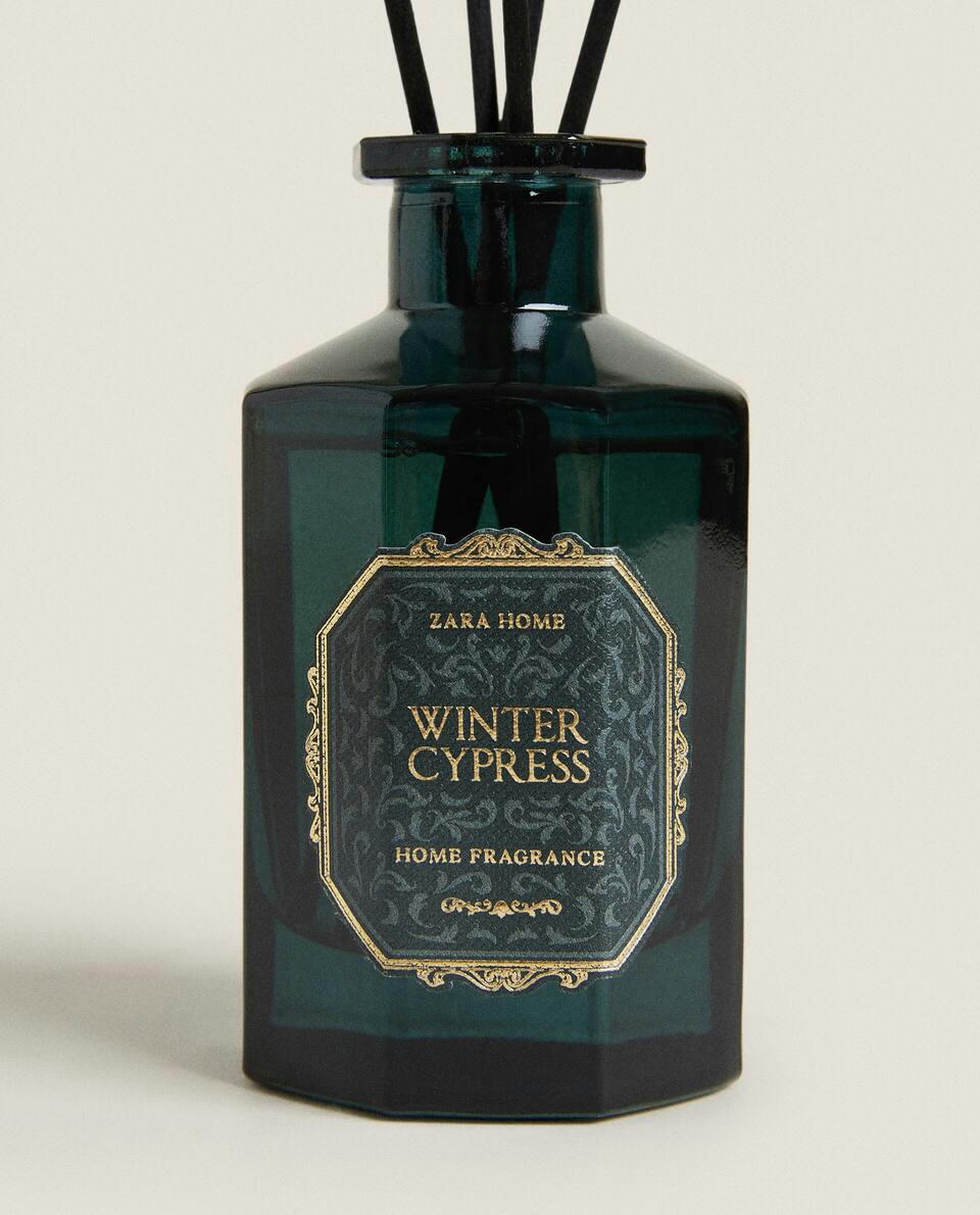CIPRESTE DE INVERNO