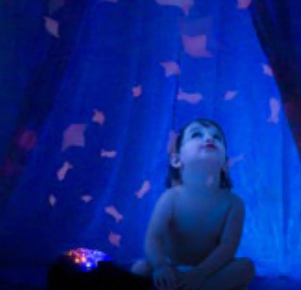 AQUA DREAM PROJECTEUR EFFETS AQUATIQUES