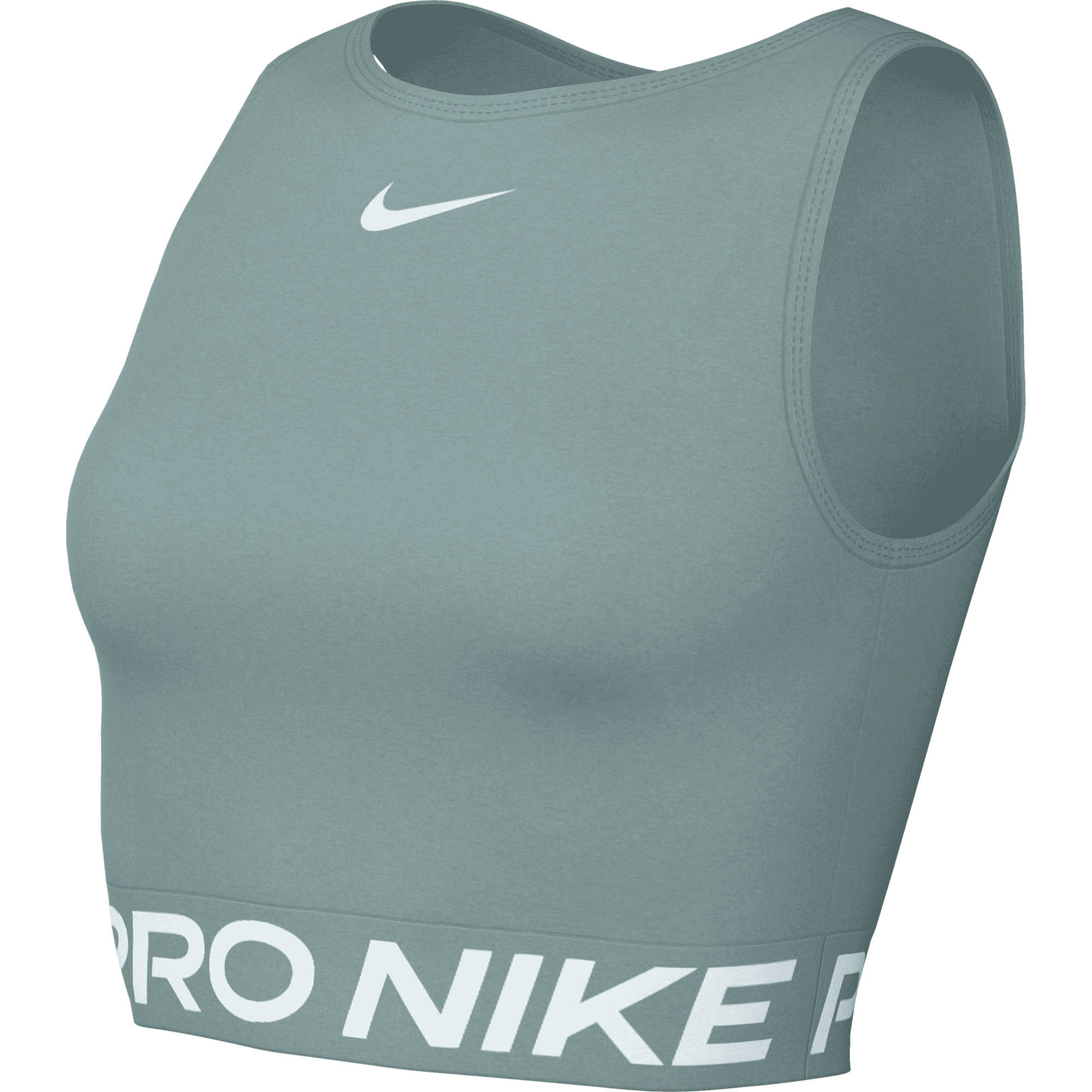 NikeNike Pro 365 Women