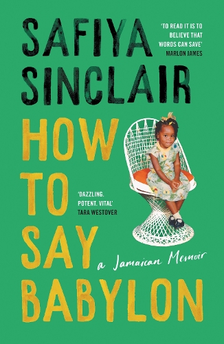How To Say Babylon (Hardback)